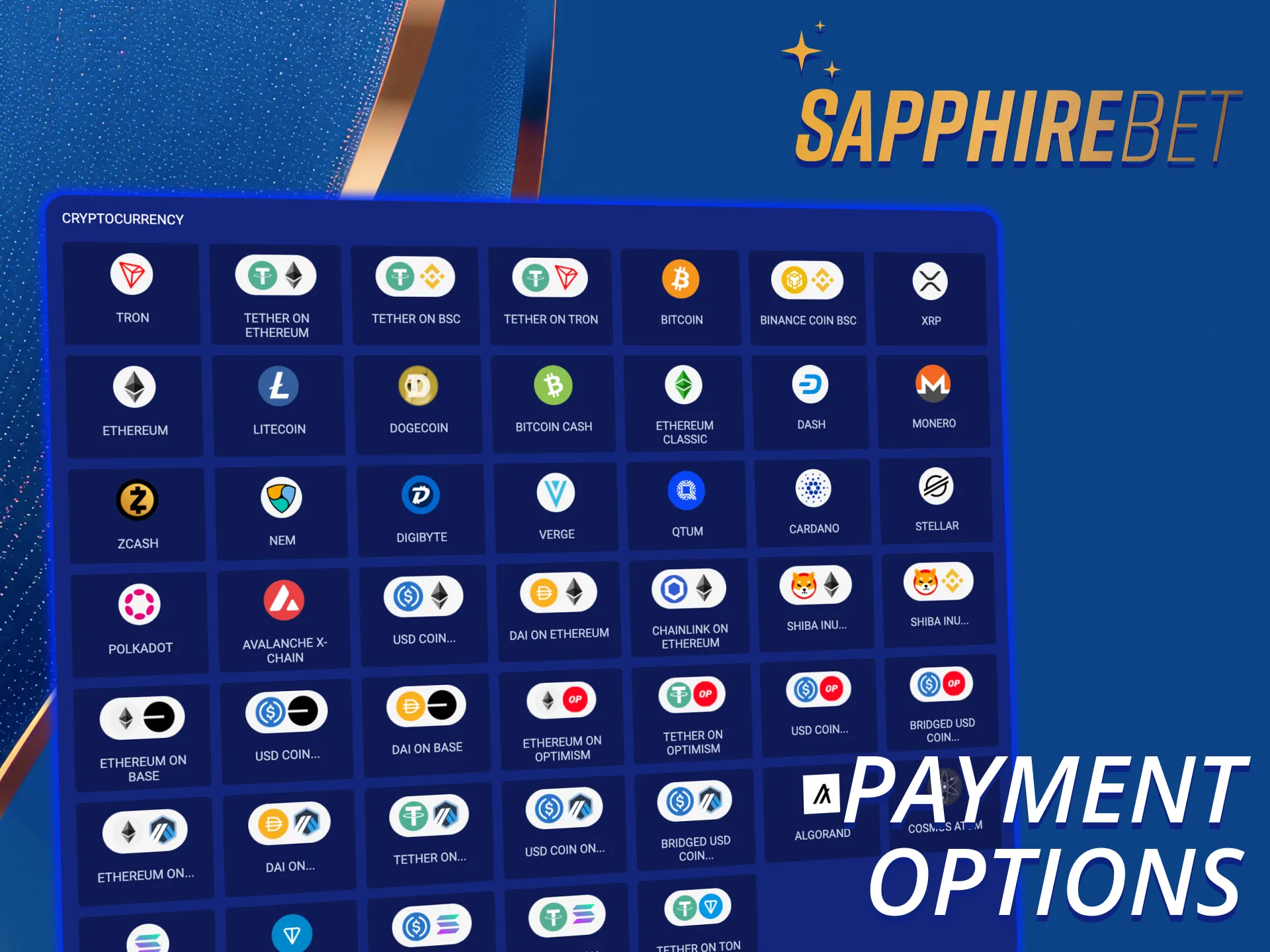SapphireBet platform offers over 30 deposit methods in Bangladesh.
