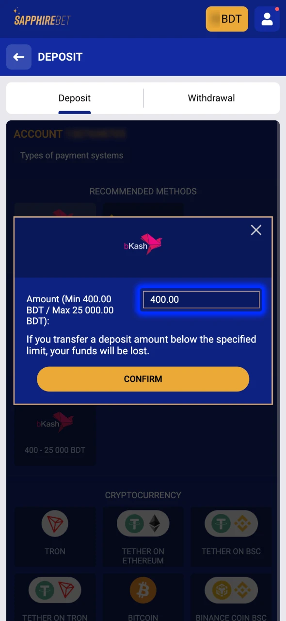 Fill in the fields with your personal information at SapphireBet.