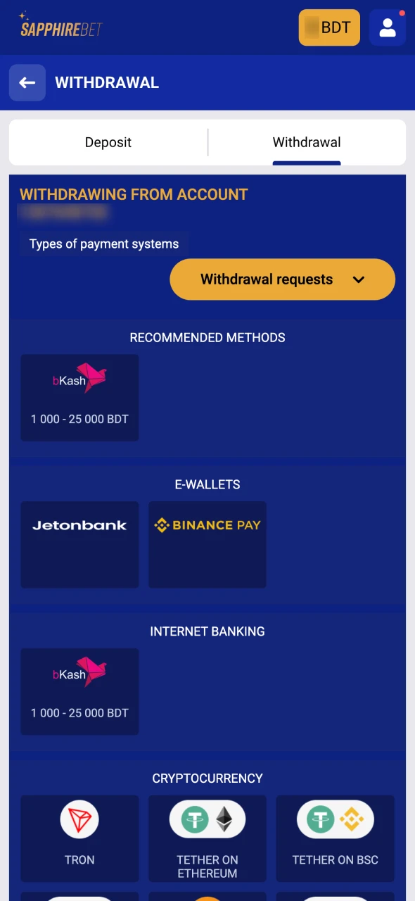 Choose a withdrawal method that you prefer at SapphireBet.